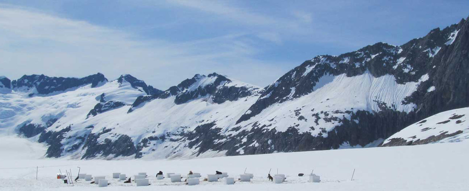 juneau alaska dog sledding tour