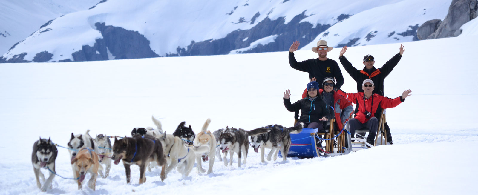 Glacier Dog Sledding with Alaska Icefield Expeditions